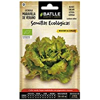 Semillas Ecológicas Hortícolas - Lechuga Maravilla de Verano - ECO - Batlle